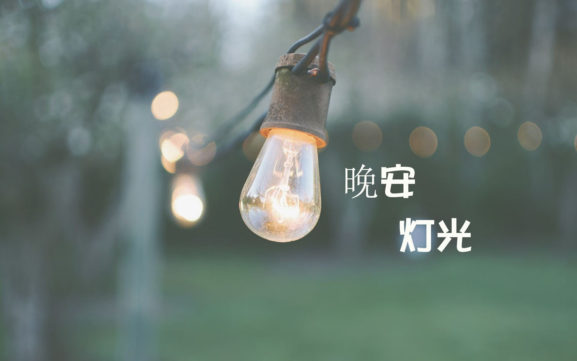 金元与基因，从楚阿梅尼的爆发到美国资本斩落黄色潜水艇