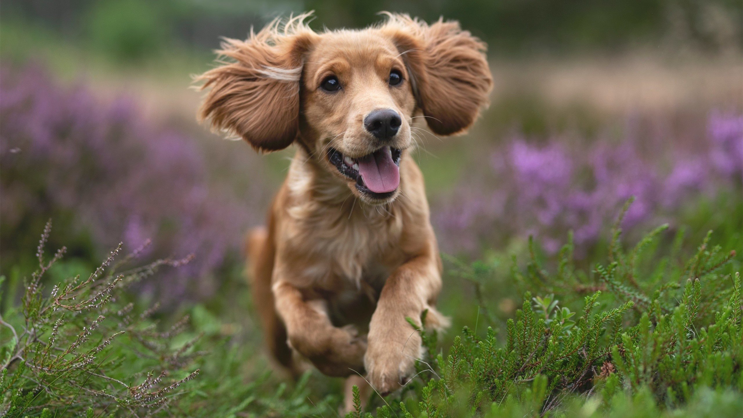 跨越战场的统治力，从卡塔尔单节风暴到基米希的欧冠封神夜