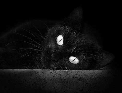 唯一性法则,曼城与富安健洋的平行宇宙交汇