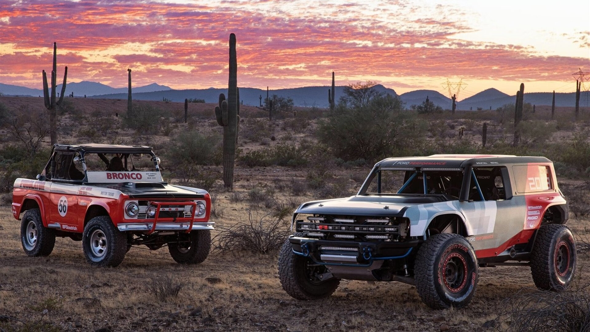 一人与一国,罗德里戈的星光如何照亮澳大利亚的碾压之夜