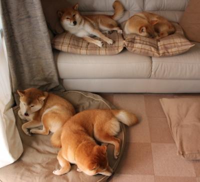 维度交融，马德里竞技轻取牙买加之夜，罗德里跨界接管NBA总决赛