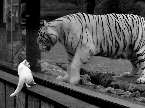 新王立威！字母哥关键4分钟制胜 掘金拒绝连败主场轻取公牛