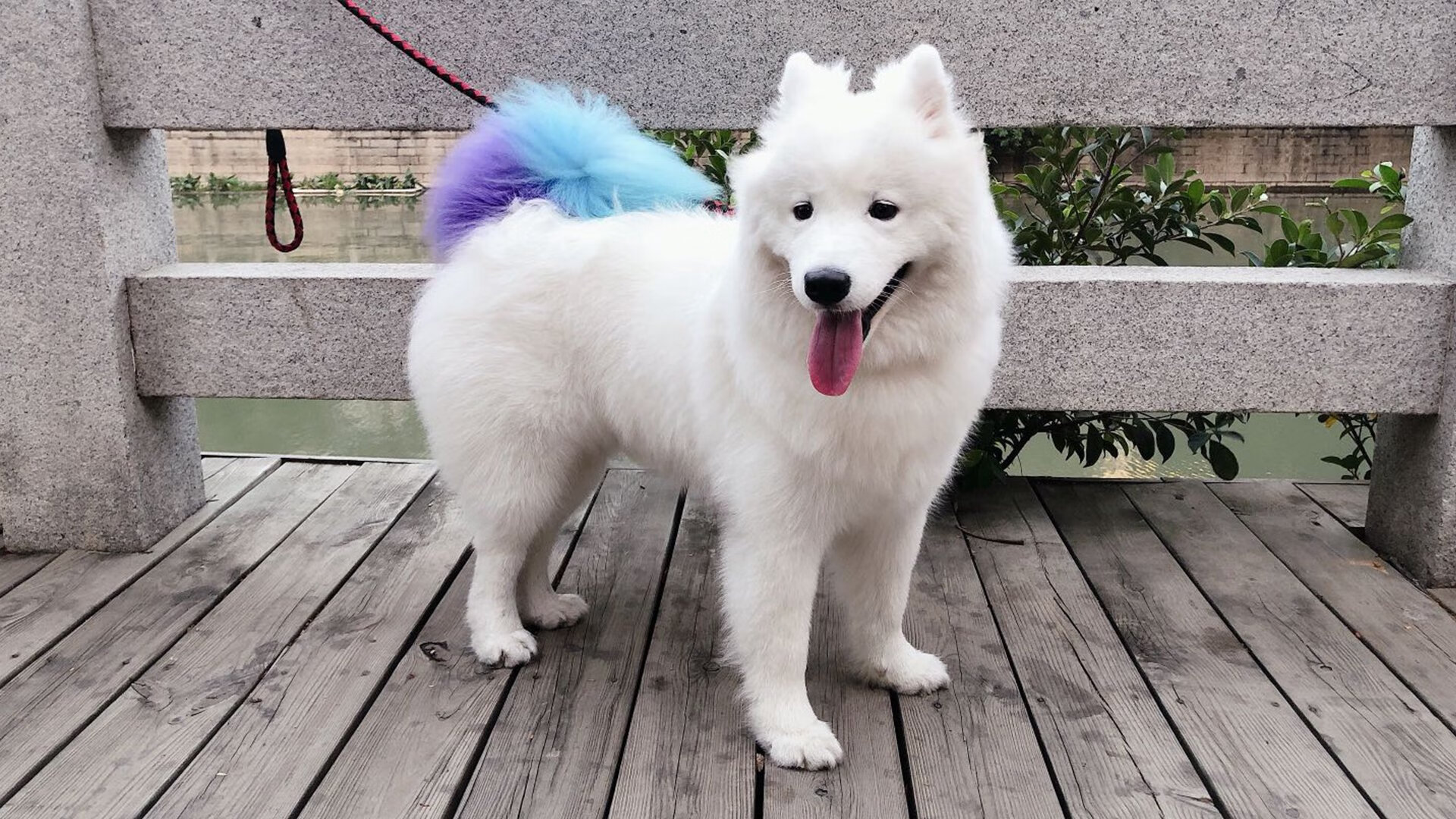 拉文极限三分改写NBA版图，太阳压哨绝杀勇士，关键先生诞生