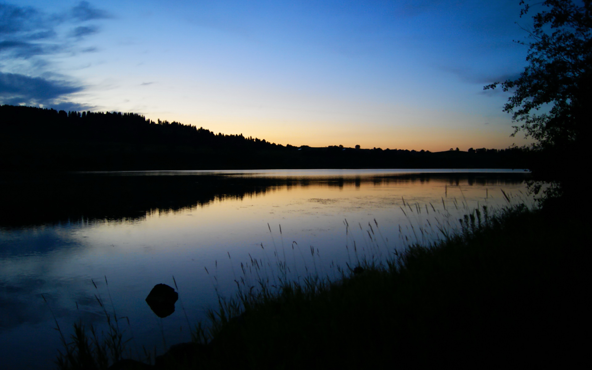 完全掌控！库里节奏魔法助上海队爆冷击败浙江队