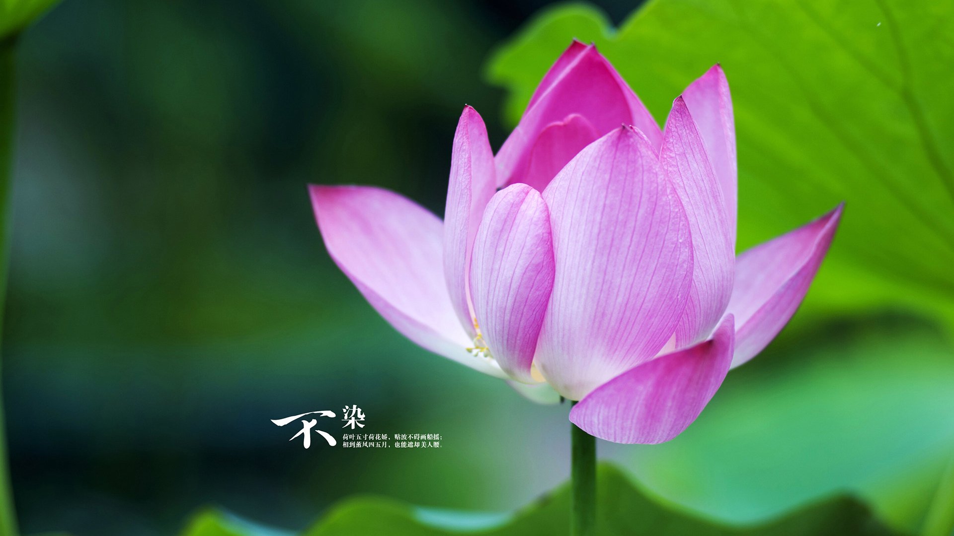 跨界剧变，西亚卡姆撕裂国家德比之夜